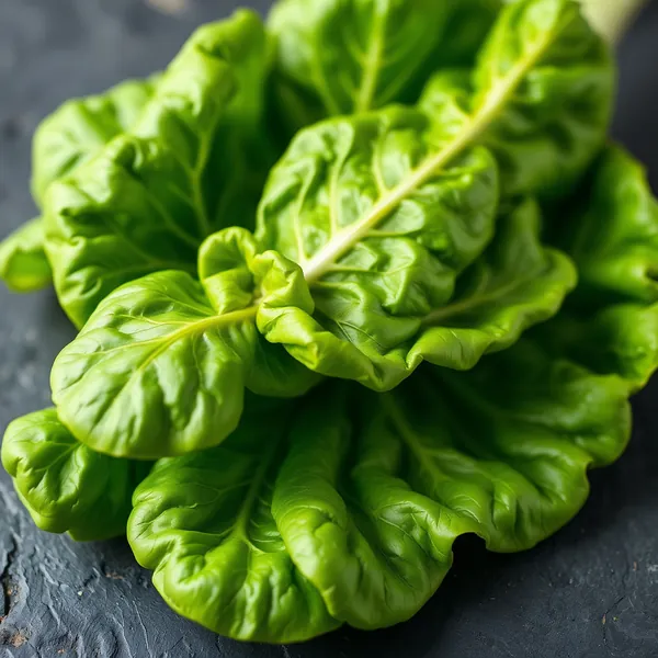Escarola de Hoja Ancha
