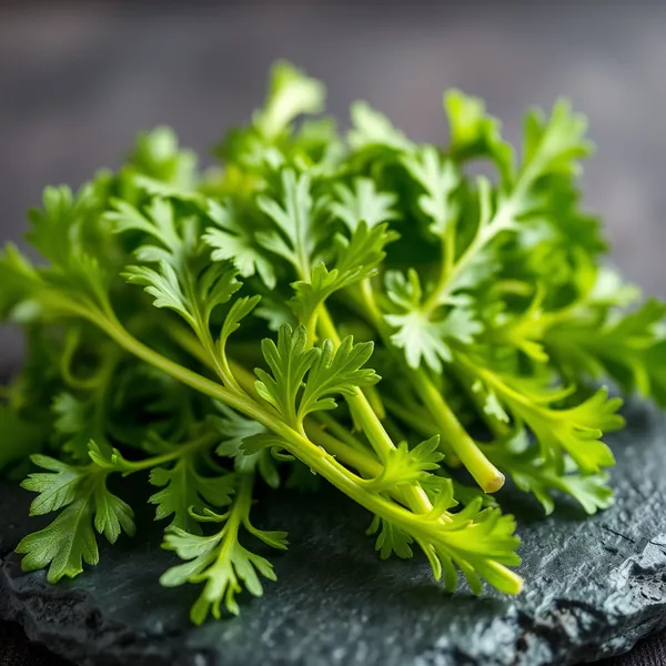 Spicy Mustard Greens
