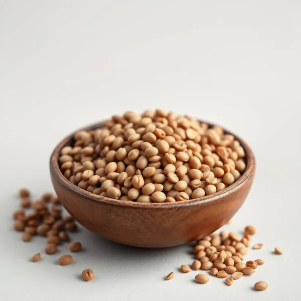 Lentilles Pardina