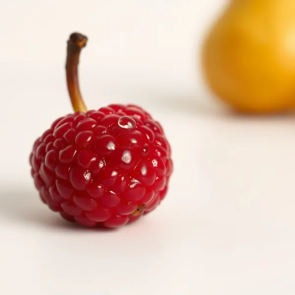Pearberry