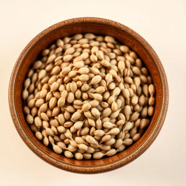 Orzo Perenne