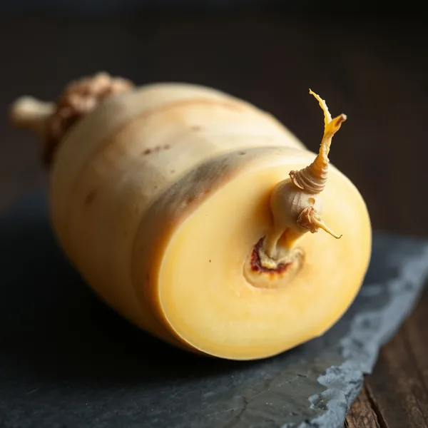Rapa Gialla