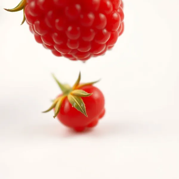 Salmonberry