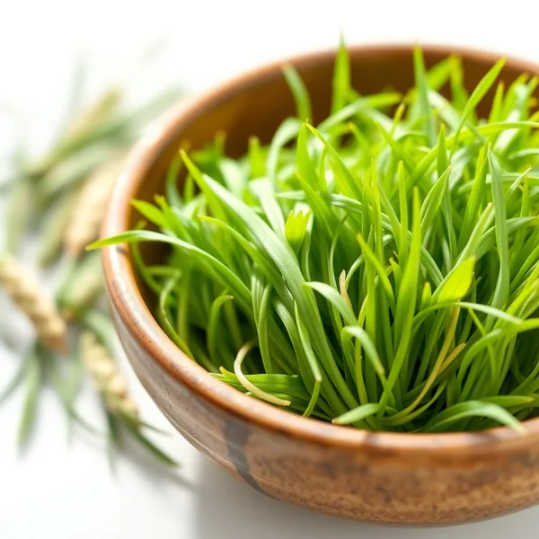 Pasto de trigo