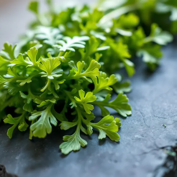 Wild Rocket (Arugula)