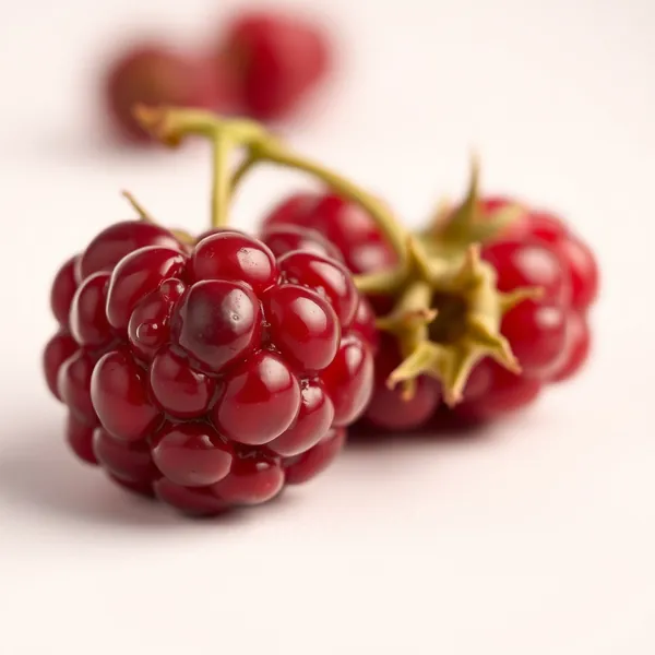 Wineberry